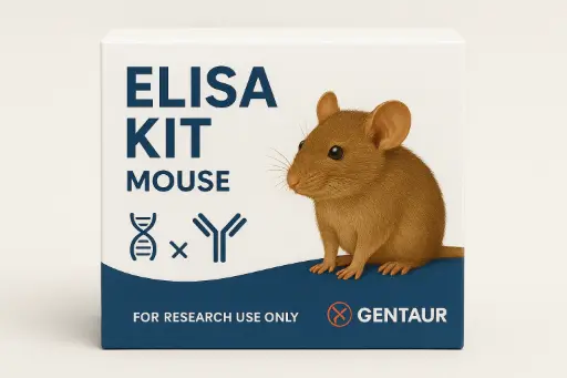 Mouse Slc6a20b ELISA Kit