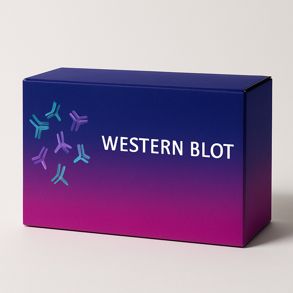 Protease Inhibitor Cocktails (100x) ( EDTA Free ) - 5ml ( 5x1 mL)