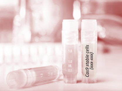 Cas9 Stable Cell Line (BV2)