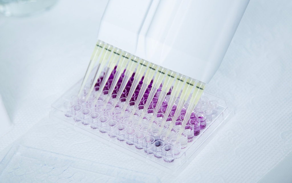 200uL Low Retention Filter Pipette Tips - RNase and DNase Free, Sterile