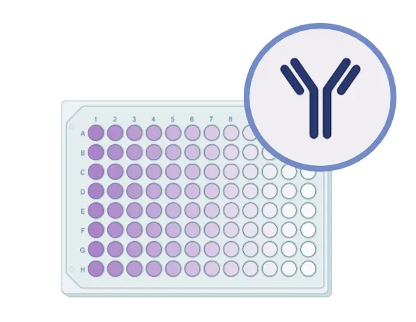 Viability/Cytotoxicity Assay Kit for Animal Live & Dead Cells, 300 assays
