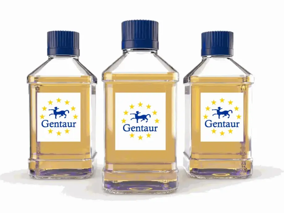 XTT Cell Viability Assay Kit, 1,000 assays